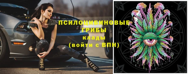прущая мука Горно-Алтайск