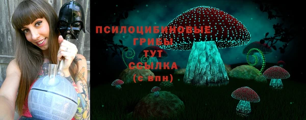 прущая мука Горно-Алтайск