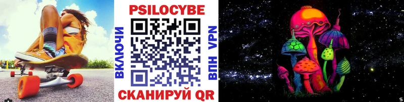 дарнет шоп  Добрянка  Галлюциногенные грибы Psilocybe 